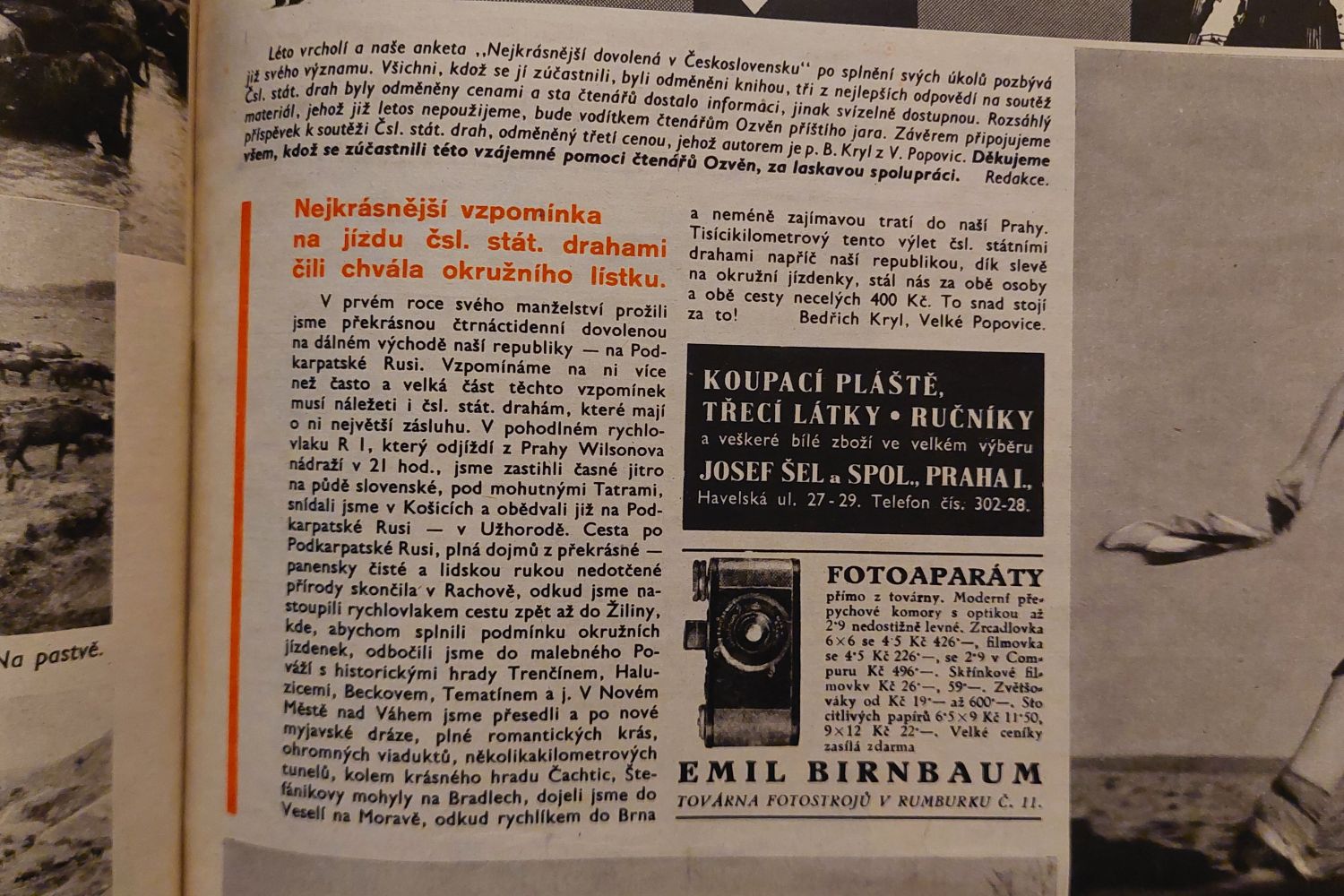 ozvěny