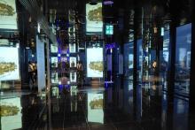 expozice